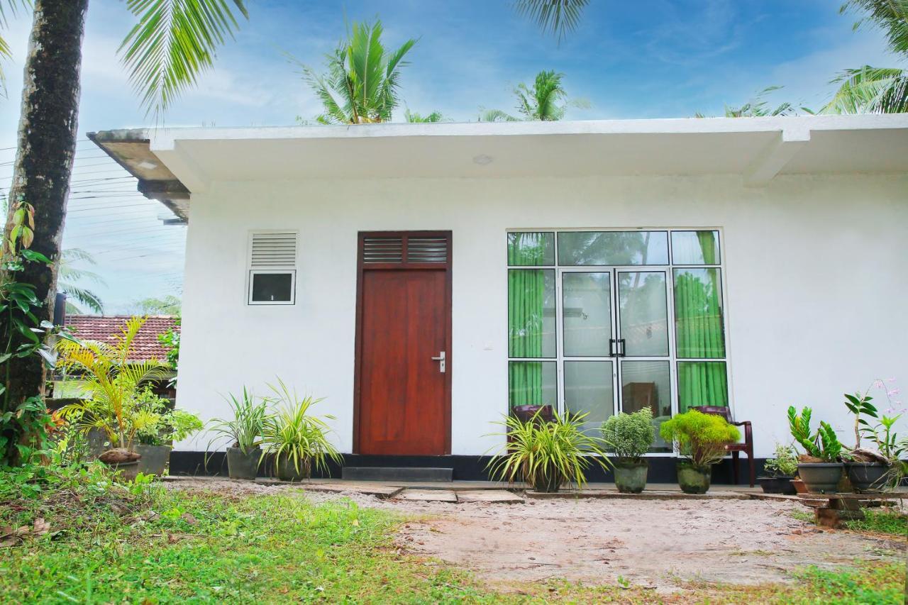 Sandy Palms Guesthouse 希克杜沃 外观 照片