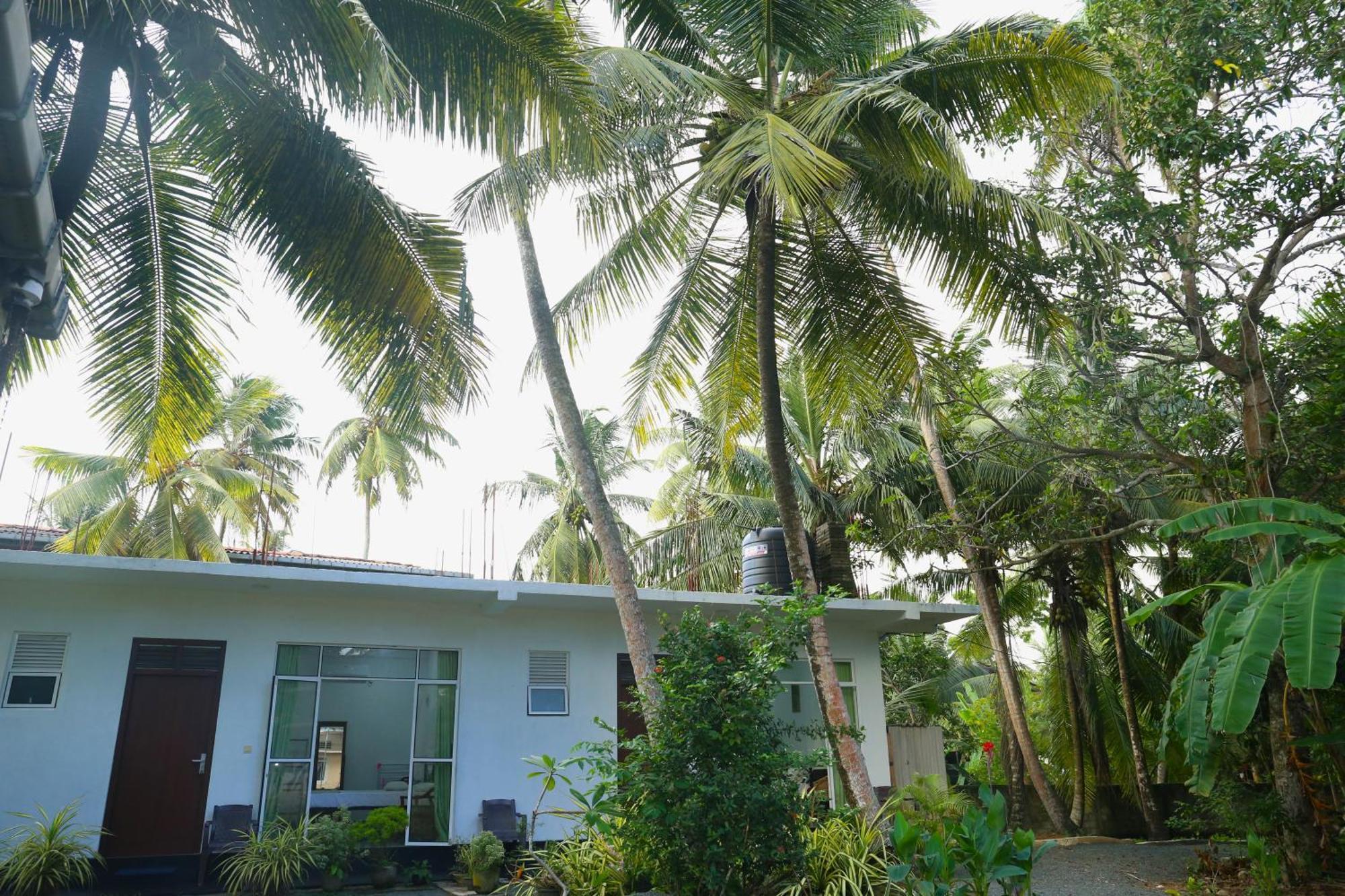 Sandy Palms Guesthouse 希克杜沃 外观 照片