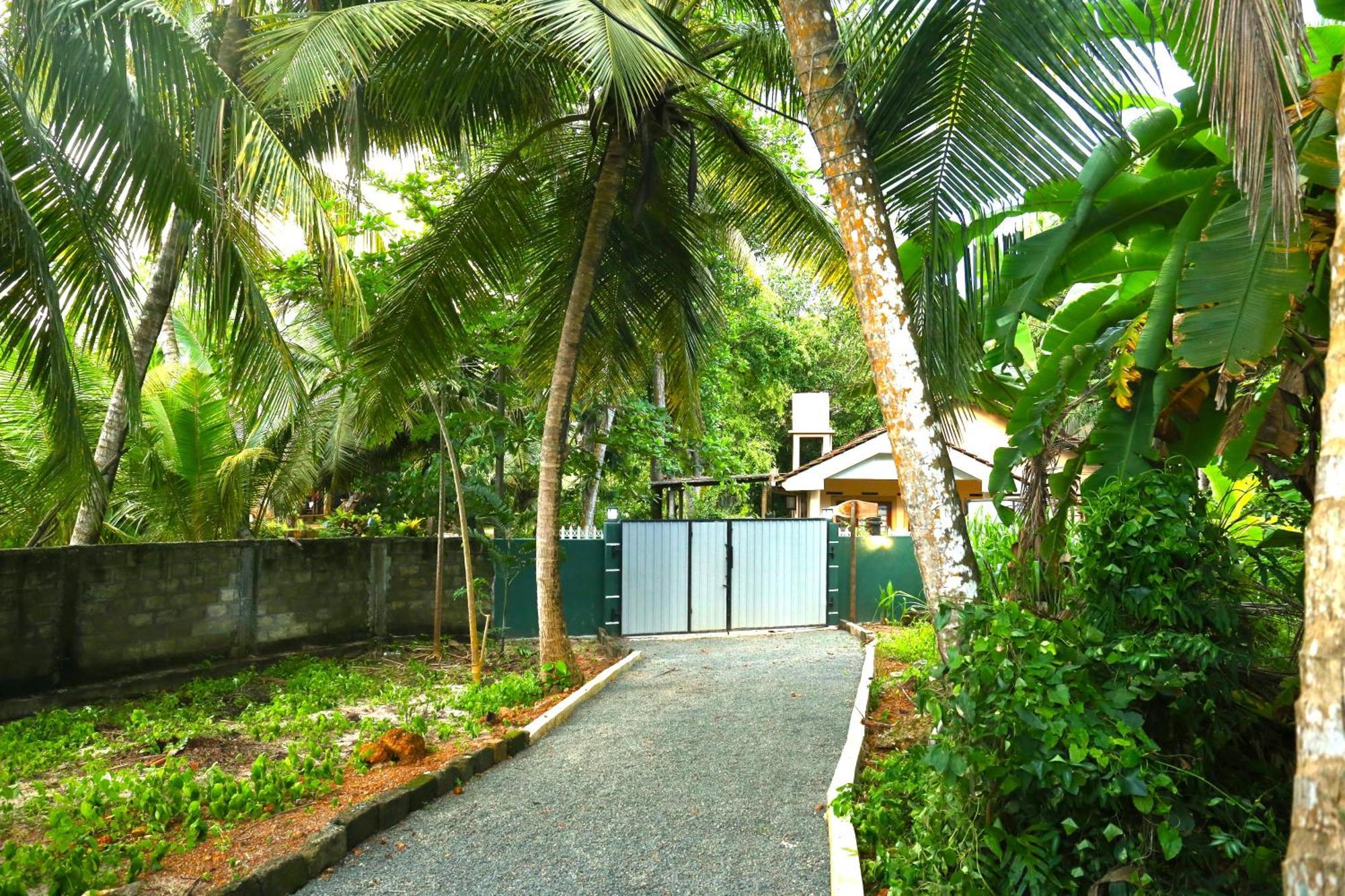 Sandy Palms Guesthouse 希克杜沃 外观 照片